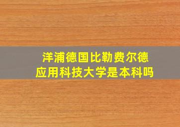 洋浦德国比勒费尔德应用科技大学是本科吗