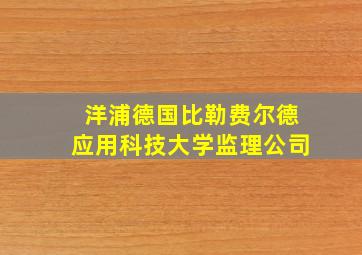 洋浦德国比勒费尔德应用科技大学监理公司