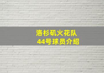 洛杉矶火花队44号球员介绍