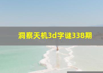 洞察天机3d字谜338期