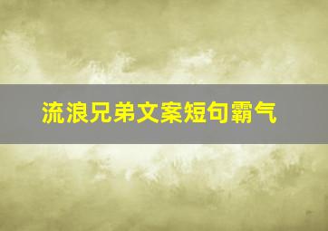 流浪兄弟文案短句霸气