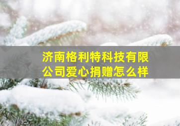 济南格利特科技有限公司爱心捐赠怎么样