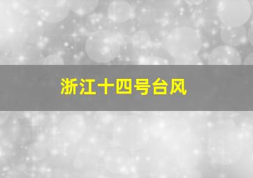 浙江十四号台风