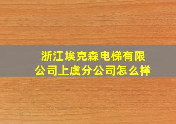 浙江埃克森电梯有限公司上虞分公司怎么样