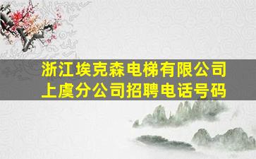 浙江埃克森电梯有限公司上虞分公司招聘电话号码