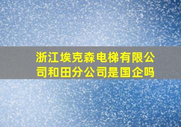 浙江埃克森电梯有限公司和田分公司是国企吗