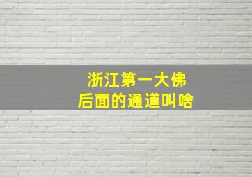 浙江第一大佛后面的通道叫啥