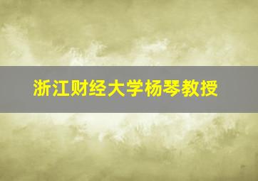 浙江财经大学杨琴教授