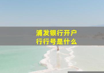 浦发银行开户行行号是什么