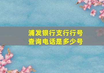 浦发银行支行行号查询电话是多少号