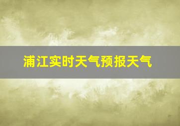 浦江实时天气预报天气