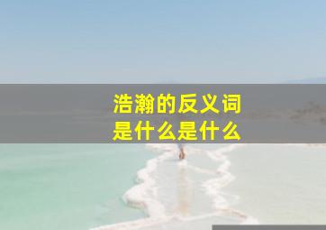 浩瀚的反义词是什么是什么