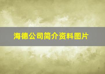 海德公司简介资料图片