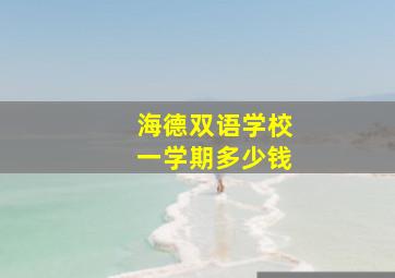 海德双语学校一学期多少钱