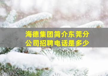 海德集团简介东莞分公司招聘电话是多少