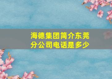 海德集团简介东莞分公司电话是多少