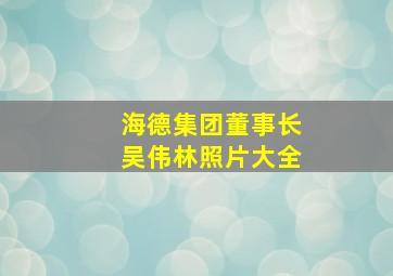 海德集团董事长吴伟林照片大全