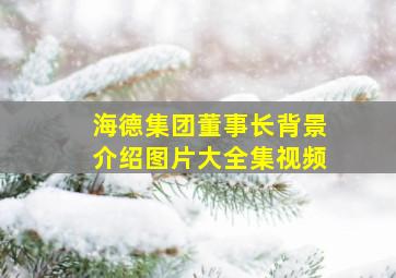 海德集团董事长背景介绍图片大全集视频