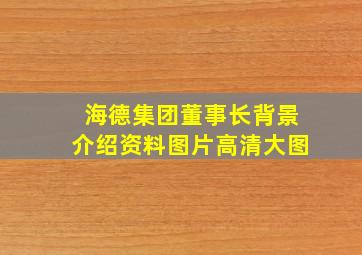 海德集团董事长背景介绍资料图片高清大图