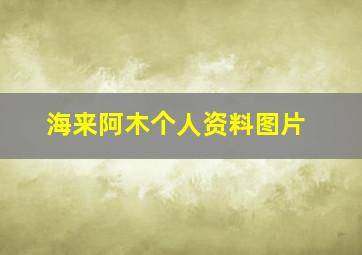 海来阿木个人资料图片