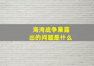 海湾战争暴露出的问题是什么