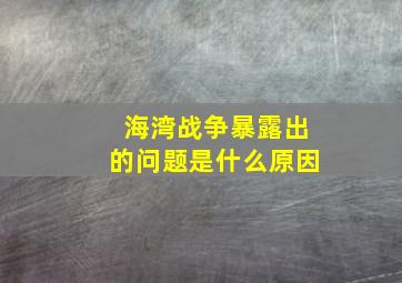 海湾战争暴露出的问题是什么原因