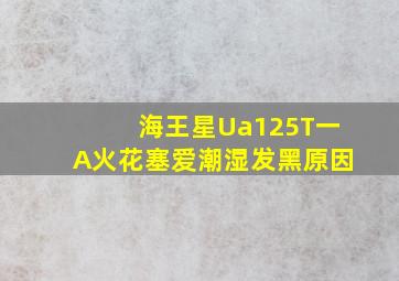 海王星Ua125T一A火花塞爱潮湿发黑原因