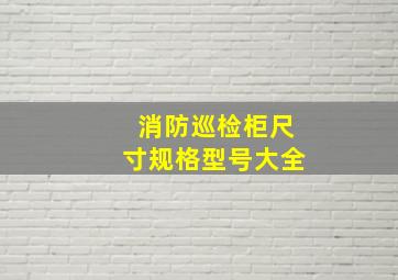 消防巡检柜尺寸规格型号大全