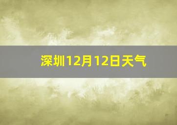 深圳12月12日天气