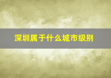 深圳属于什么城市级别