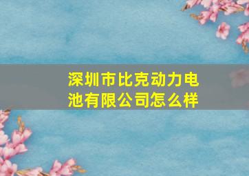 深圳市比克动力电池有限公司怎么样