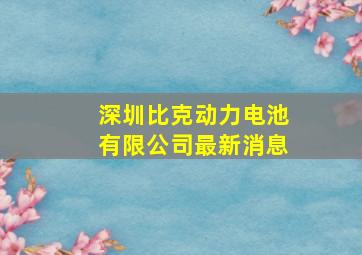 深圳比克动力电池有限公司最新消息