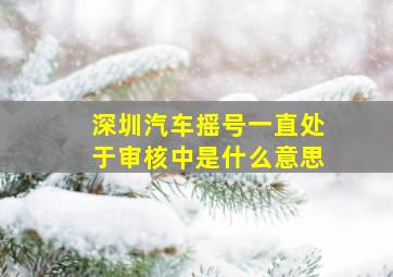 深圳汽车摇号一直处于审核中是什么意思