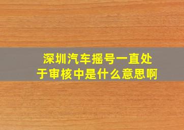 深圳汽车摇号一直处于审核中是什么意思啊