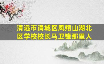 清远市清城区凤翔山湖北区学校校长马卫锋那里人