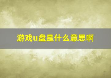 游戏u盘是什么意思啊