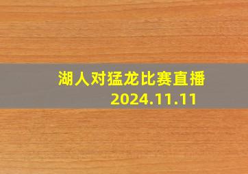 湖人对猛龙比赛直播2024.11.11