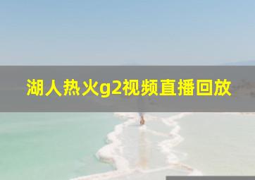 湖人热火g2视频直播回放