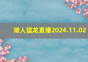 湖人猛龙直播2024.11.02