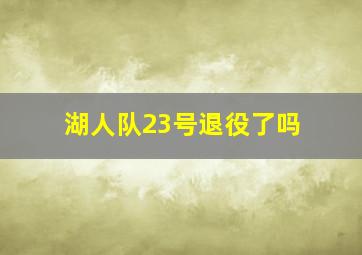 湖人队23号退役了吗