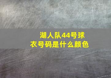 湖人队44号球衣号码是什么颜色