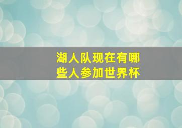 湖人队现在有哪些人参加世界杯