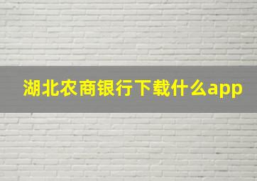 湖北农商银行下载什么app