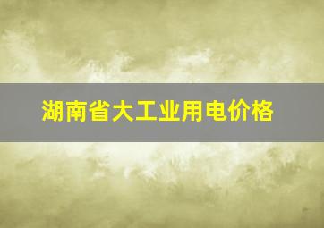 湖南省大工业用电价格