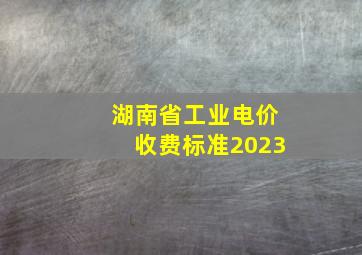 湖南省工业电价收费标准2023