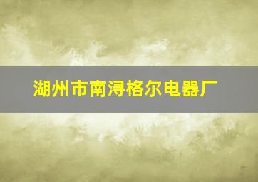 湖州市南浔格尔电器厂