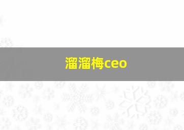 溜溜梅ceo