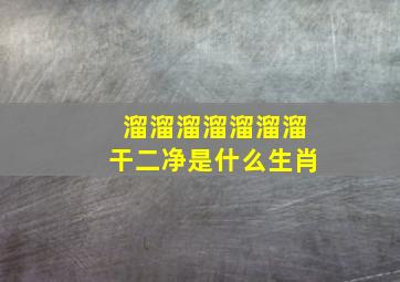 溜溜溜溜溜溜溜干二净是什么生肖