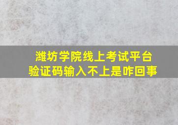 潍坊学院线上考试平台验证码输入不上是咋回事