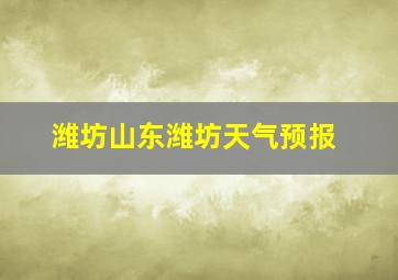 潍坊山东潍坊天气预报